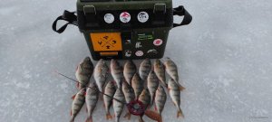 IMG_20220109_145410.jpg