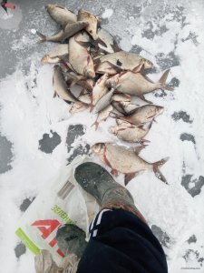 IMG_20220111_134738.jpg