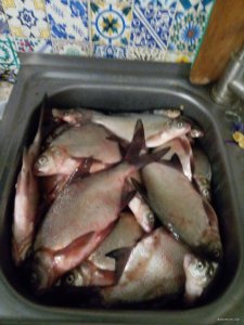 IMG_20220111_170150.jpg