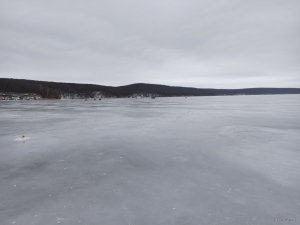 IMG_20220109_090832.jpg