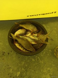 IMG_20220109_115452.jpg