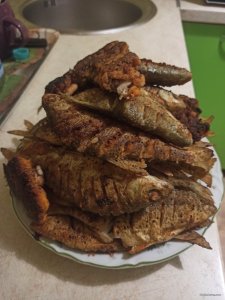 IMG_20220109_181726.jpg