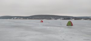 IMG_20220111_074502.jpg
