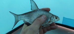 IMG_20220111_095150.jpg