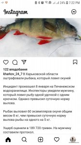 изображение_viber_2022-01-11_19-23-06-236.jpg