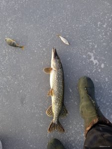 IMG_20220108_140358.jpg