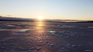 IMG_20220115_163517.jpg