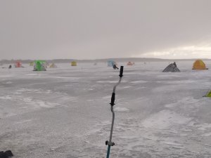 IMG_20220115_085555.jpg
