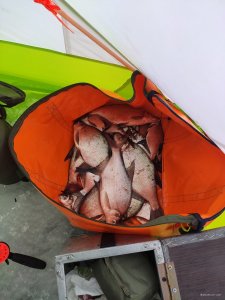 IMG_20220115_132728.jpg
