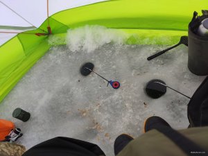IMG_20220115_115804.jpg
