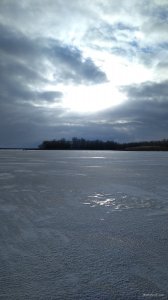 IMG_20220115_091926.jpg