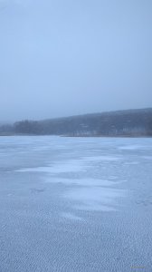IMG_20220115_085643.jpg