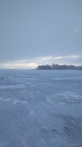 IMG_20220115_085638.jpg