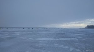 IMG_20220116_083620.jpg