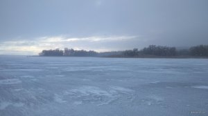IMG_20220115_085628.jpg