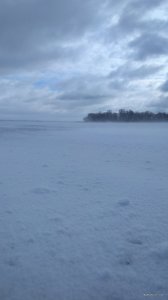 IMG_20220116_083853.jpg