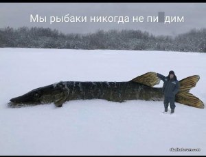 изображение_viber_2022-01-16_13-00-51-508.jpg