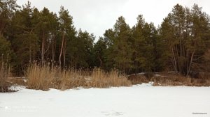 IMG_20220116_115814.jpg