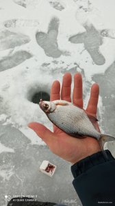 IMG_20220116_083806.jpg