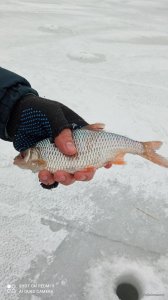 IMG_20220116_091949.jpg