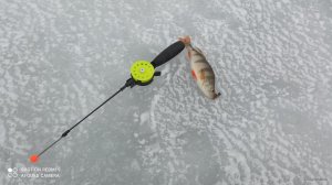 IMG_20220116_131838.jpg