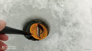 IMG_20220116_125842.jpg