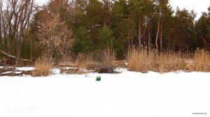 IMG_20220116_115817.jpg