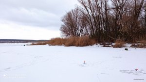 IMG_20220116_120241.jpg