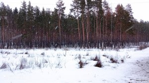 IMG_20220116_150936.jpg