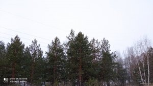 IMG_20220116_150923.jpg