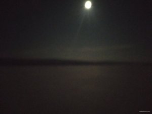 IMG_20220120_060755.jpg