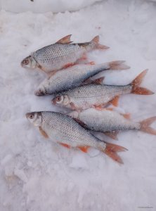 P20120-150641.jpg