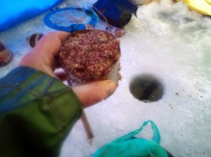 IMG_20220120_074313_0.jpg