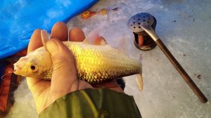IMG_20220120_090431_6.jpg