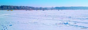 IMG_20220120_095351_4.jpg