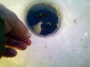 IMG_20220120_101059_5.jpg