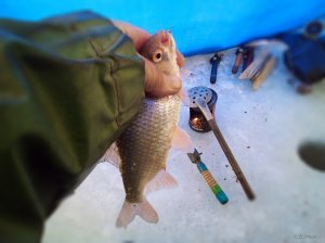 IMG_20220120_113354_1.jpg