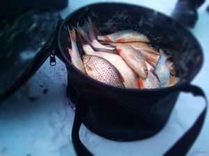 IMG_20220120_152859_1.jpg