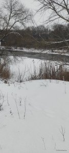 IMG_20220121_114641.jpg