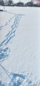 20220123_095240.jpg