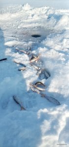 20220123_093530.jpg