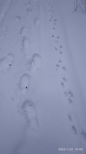 IMG_20220122_104309.jpg