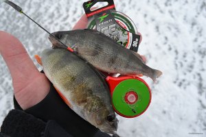 DSC_0372.jpg