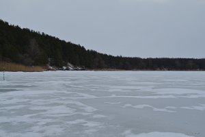 DSC_0323.jpg
