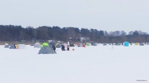 IMG_20220123_105226.jpg