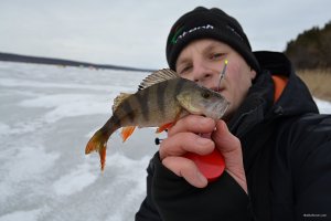DSC_0329.jpg