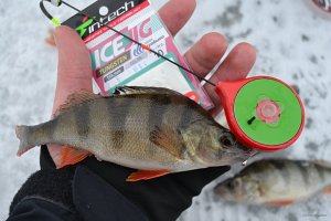 DSC_0352.jpg
