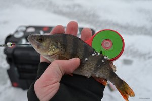 DSC_0349.jpg