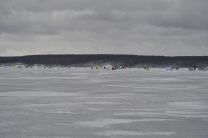 DSC_0399.jpg