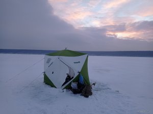 IMG_20220122_160209.jpg